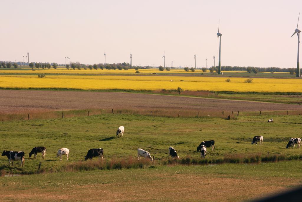 Landhaus Krabbe Von Greetsiel Bagian luar foto